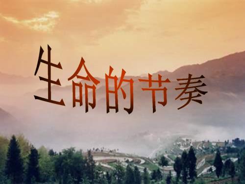 生命的节奏PPT课件 人教版(20张)