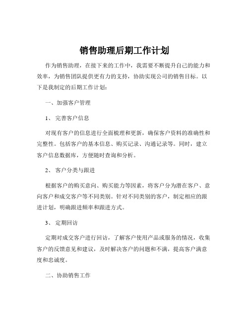 销售助理后期工作计划