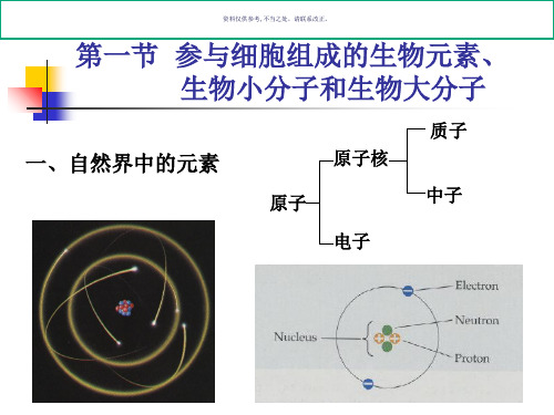 生命的化学组成基础