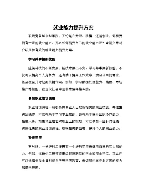 就业能力提升方案