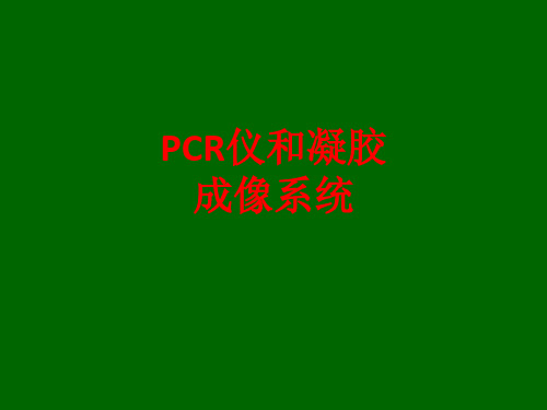 [课件]PCR仪和凝胶成像系统PPT