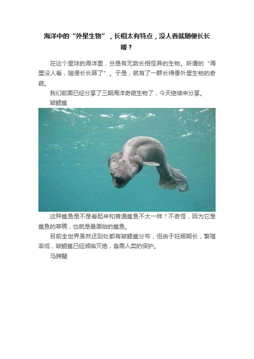 海洋中的“外星生物”，长相太有特点，没人看就随便长长喽？