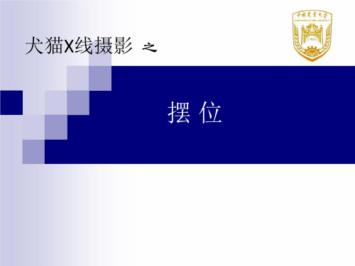 【宠物超声培训】犬猫X线摄影之摆位、胸部和腹部投照