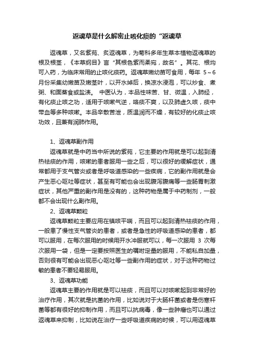 返魂草是什么解密止咳化痰的“返魂草