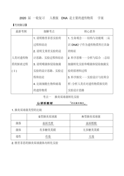 2020届一轮复习人教版DNA是主要的遗传物质学案