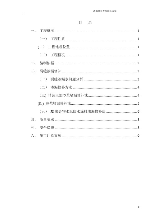 渗漏修补专项施工方案