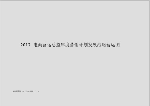 (定稿案)2017电商运营总监年度营销计划发展战略运营图