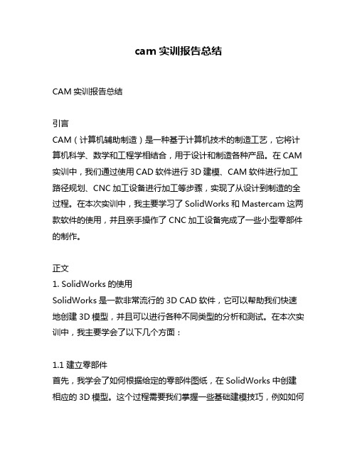 cam实训报告总结