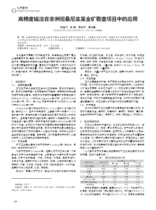 高精度磁法在非洲坦桑尼亚某金矿勘查项目中的应用