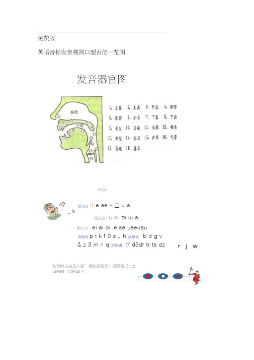 英语音标标准发音规则及口型+舌位一览表