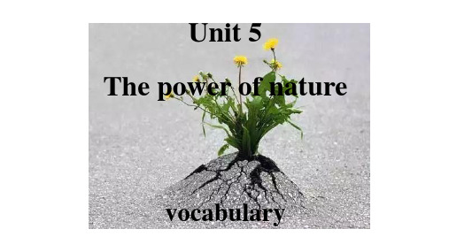 Unit5 Vocabulary课件 高中英语人教新课标选修六