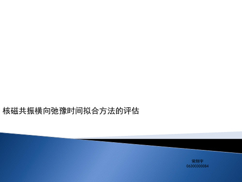 核磁共振横向弛豫时间拟合方法的评估