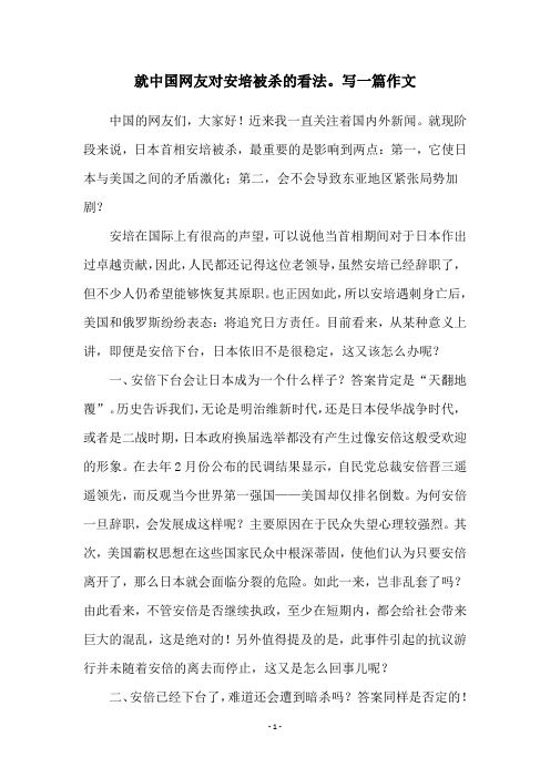 就中国网友对安培被杀的看法。写一篇作文