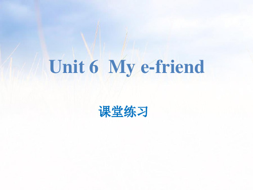 《My e-friend》课堂练习PPT