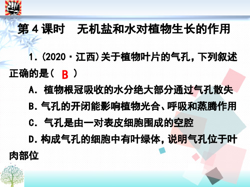 浙江中考科学专题复习提分课时作业课件(共38课时) 第4课时 无机盐和水对植物生长的作用 