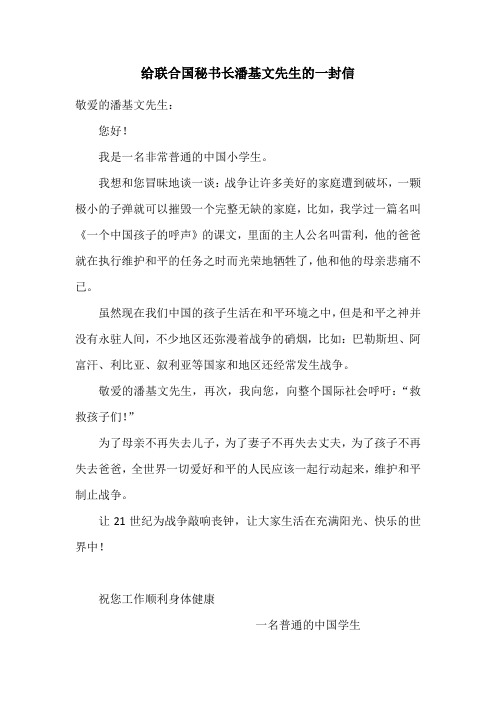 给联合国秘书长潘基文先生的一封信(四)