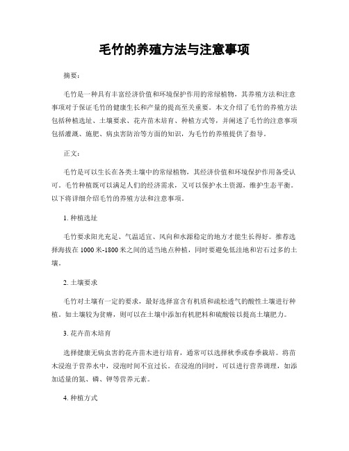 毛竹的养殖方法与注意事项