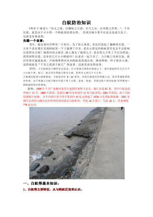 白蚁防治