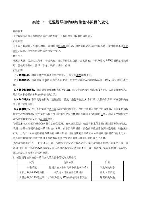 实验03低温诱导植物细胞染色体数目的变化