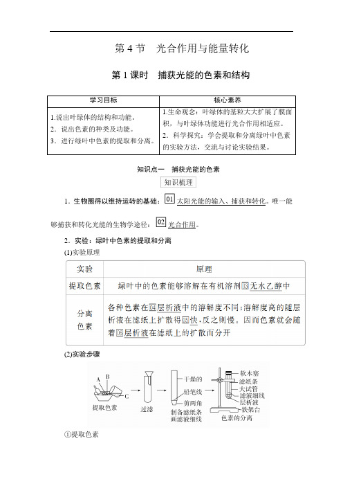2020-2021学年  高中生物新人教版  必修一 5.4第1课时 捕获光能的色素和结构 教案
