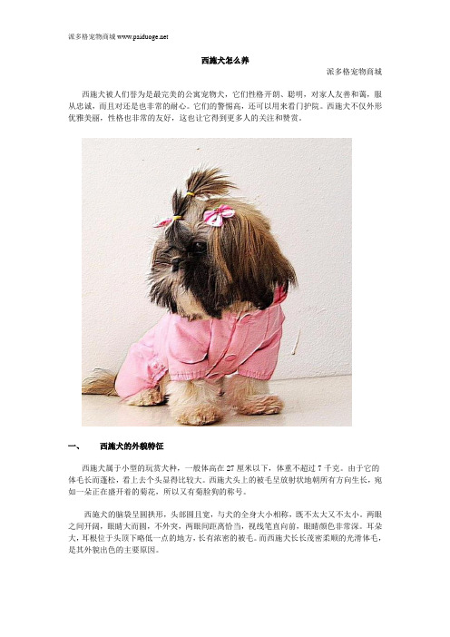 西施犬怎么养