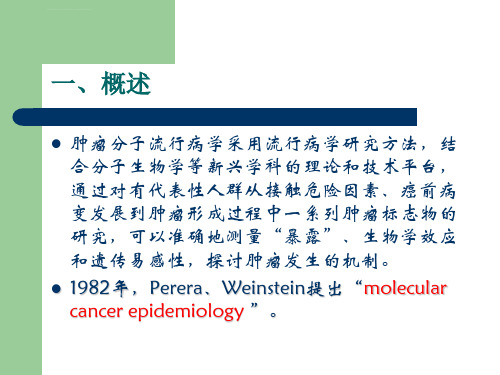 肿瘤分子流行病学ppt课件