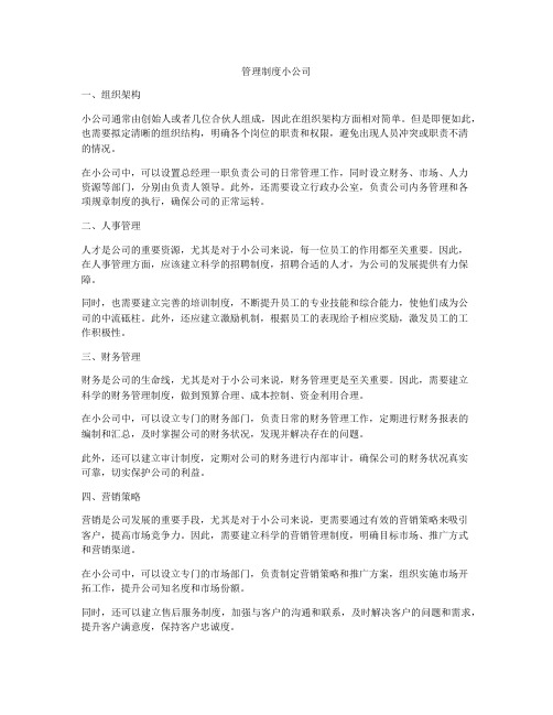 管理制度小公司