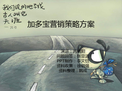 加多宝营销策略方案