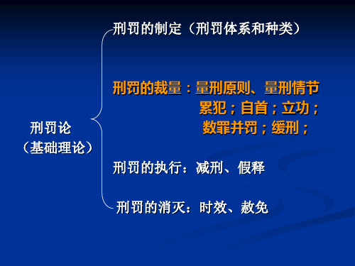 刑罚学 第十六章量刑PPT课件