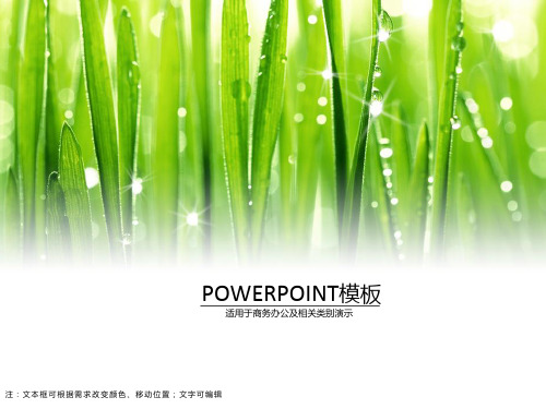 绿色清晨露珠PPT模板