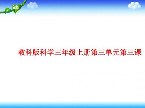 三年级上册科学实用教学课件-3.3比较韧性｜教科版(共24张PPT)