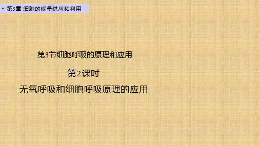 【课件】无氧呼吸、细胞呼吸原理的应用课件2022-2023学年高一上学期生物人教版必修1