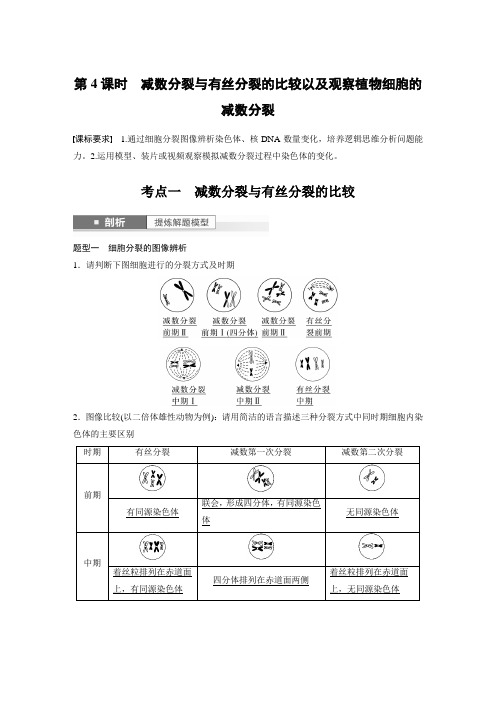 一轮复习教案 第4单元 第4课时 减数分裂与有丝分裂的比较以及观察植物细胞的减数分裂(含答案)