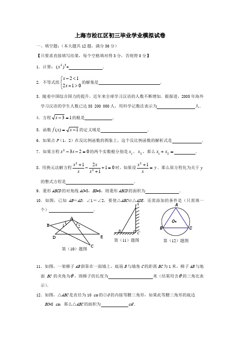 上海市松江区初三毕业学业模拟试卷