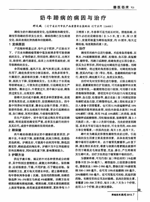 奶牛蹄病的病因与治疗