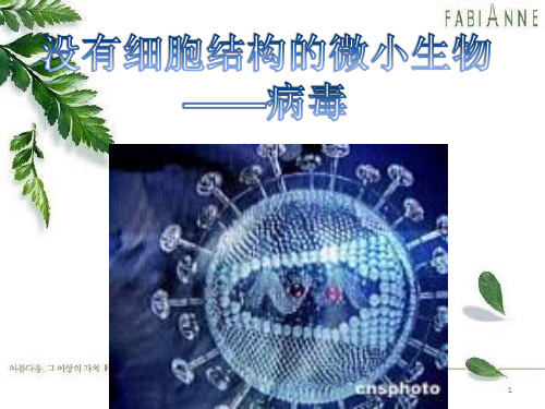 病毒简介