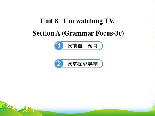 【金榜学案】六年级英语下Unit8SectionA鲁教五四制