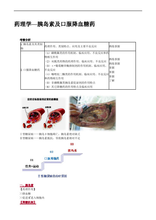 药理学—胰岛素及口服降血糖药