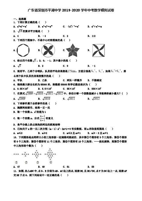 广东省深圳市平湖中学2019-2020学年中考数学模拟试卷