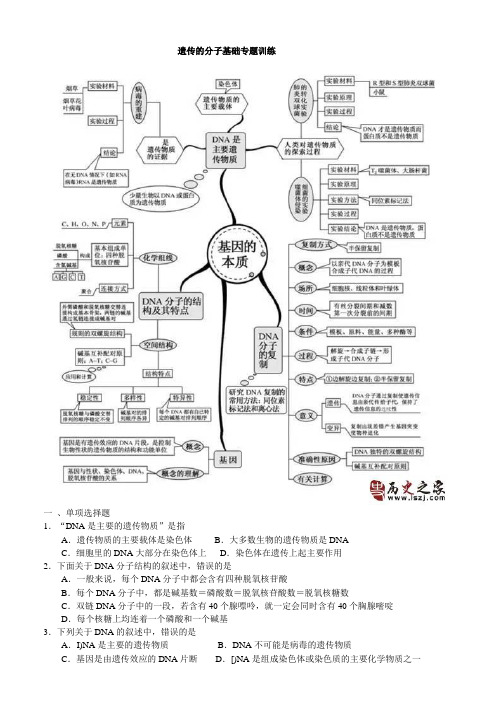 遗传的分子基础