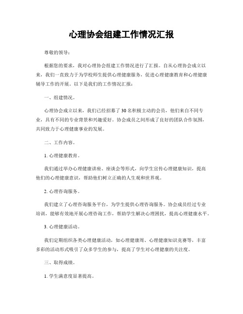 心理协会组建工作情况汇报