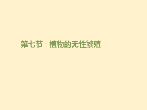 生物济南版八年级上册第七节 《植物的无性生殖》1课件