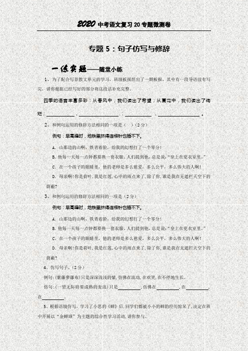 2020中考语文专题复习微测一卷5句子仿写与修辞(原卷版)