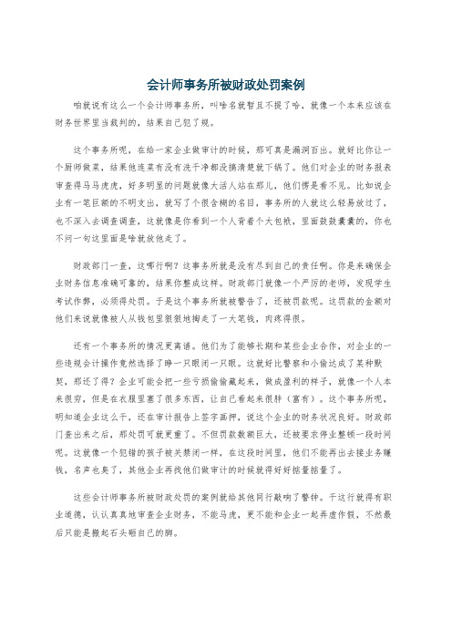 会计师事务所被财政处罚案例