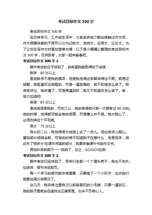 考试目标作文300字