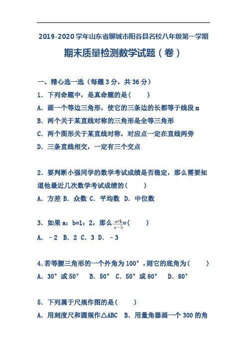 2019-2020学年山东省聊城市阳谷县名校八年级第一学期期末质量检测数学试题(卷)