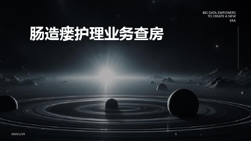 肠造瘘护理业务查房(2024)