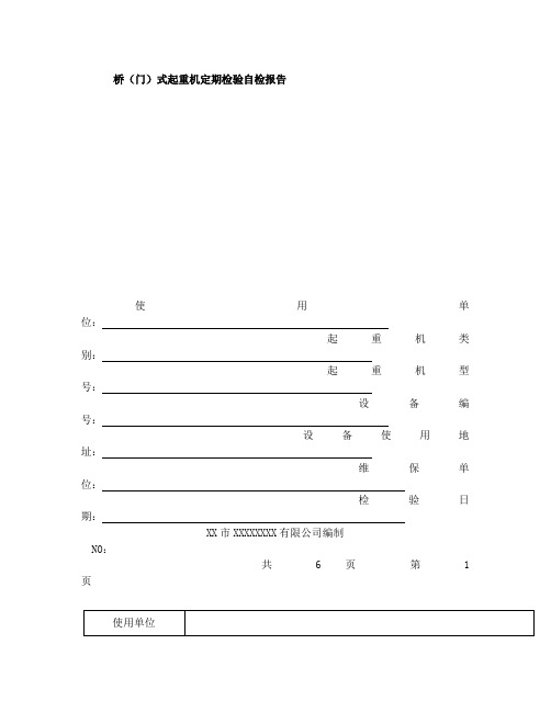 桥(门)式起重机定期检验自检报告