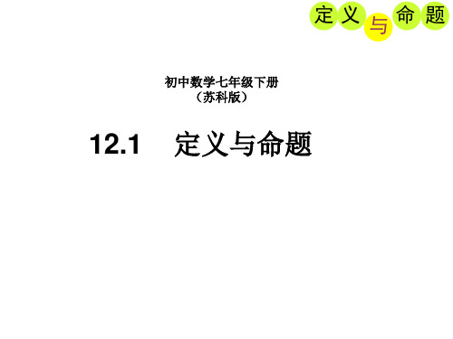 苏科版七年级下册数学课件 12.1定义与命题