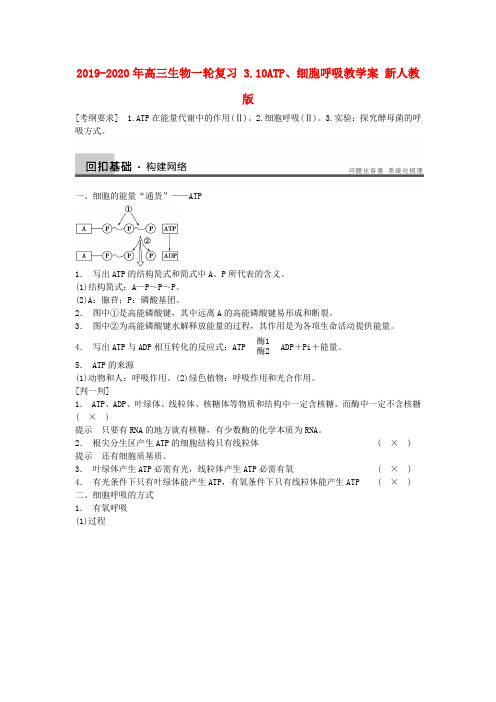 2019-2020年高三生物一轮复习 3.10ATP、细胞呼吸教学案 新人教版